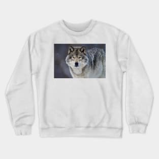 Gray Wolf Crewneck Sweatshirt